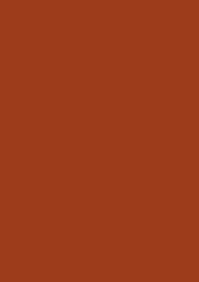 2098 NM Dekorspan 19,0 mm Ceramic Red