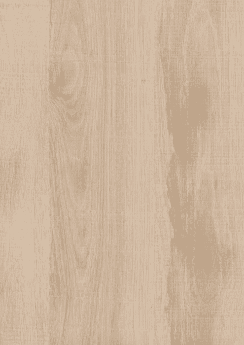 K4410 AW Arbeitsplatte Native Oak Light 39mm 4.100x635mm Kaindl Profil AB/0 - Detail 1