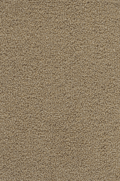 Textil-Belag Spektrum 2026 Perla CR 59Pe24 500 cm - Detail 1